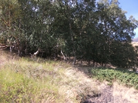 rrente Quarantore-20110911 146